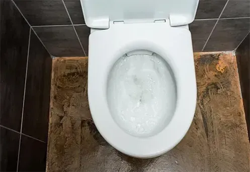 Desentupidora de Vaso Sanitário Urgente na Vila Santa Lúcia